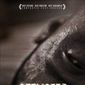 Poster 6 Afflicted