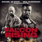 Poster 2 Falcon Rising