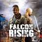 Poster 3 Falcon Rising