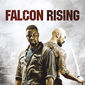 Poster 4 Falcon Rising