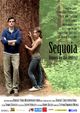 Film - Sequoia