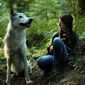 Foto 1 Shana: The Wolf's Music