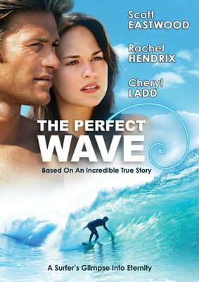 The Perfect Wave poster