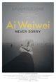 Film - Ai Weiwei: Never Sorry