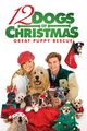 Film - 12 Dogs of Christmas: Great Puppy Rescue