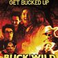 Poster 2 Buck Wild