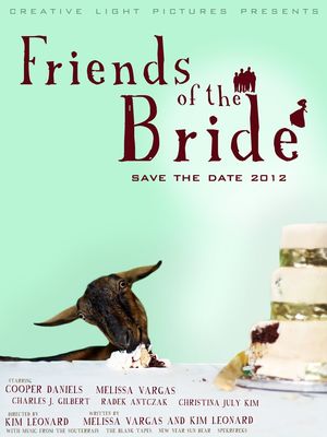 Friends of the Bride poster