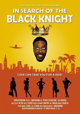 In Search of the Black Knight poster