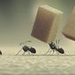 Foto 20 Minuscule - La vallée des fourmis perdues