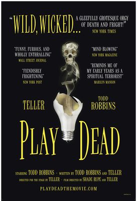 Play Dead poster