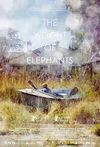 Greutatea elefanților