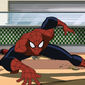 Foto 9 Ultimate Spider-Man