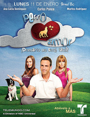 Perro amor poster