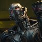 Foto 13 The Avengers: Age of Ultron