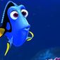 Foto 15 Finding Dory