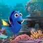 Foto 13 Finding Dory
