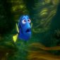 Foto 5 Finding Dory