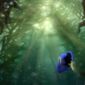 Foto 14 Finding Dory