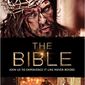 Poster 7 The Bible