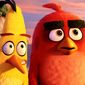 The Angry Birds Movie/Angry Birds - Filmul