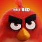 Poster 22 The Angry Birds Movie