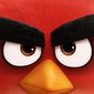 Poster 27 The Angry Birds Movie