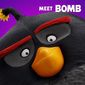 Poster 25 The Angry Birds Movie