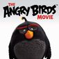Poster 28 The Angry Birds Movie