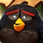 Foto 2 The Angry Birds Movie