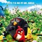 Poster 11 The Angry Birds Movie