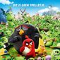 Poster 18 The Angry Birds Movie