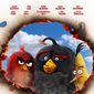 Poster 12 The Angry Birds Movie