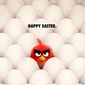Poster 20 The Angry Birds Movie