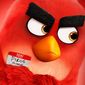 Poster 16 The Angry Birds Movie