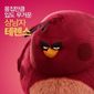 Poster 9 The Angry Birds Movie