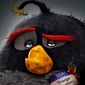 Poster 14 The Angry Birds Movie