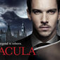 Poster 12 Dracula