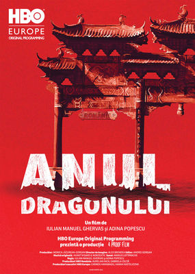 Anul dragonului poster