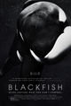 Film - Blackfish