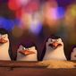 Foto 40 The Penguins of Madagascar