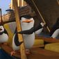 Foto 7 The Penguins of Madagascar