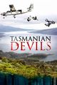Film - Tasmanian Devils