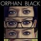 Poster 2 Orphan Black