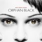 Poster 1 Orphan Black