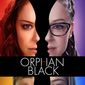 Poster 15 Orphan Black