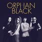 Poster 13 Orphan Black