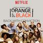 Poster 11 Orange Is the New Black
