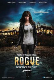 Poster Rogue