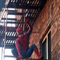 Foto 15 Spider-Man: Homecoming