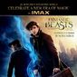 Poster 15 Fantastic Beasts and Where to Find Them